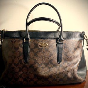 COACH Brown Bag